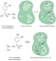 enzyme selectivity for enantiomers