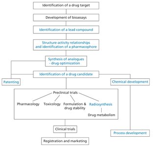 Flowchart of drug development stages, highlighting the role of synthesis in lead identification, optimization, and process development.