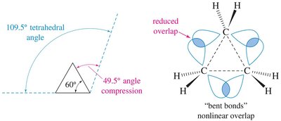 Angle compression and Newman projection in cyclobutane