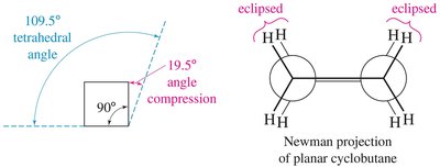 Folded conformation and Newman projection in cyclobutane
