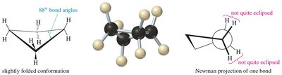 Flap folded conformation and Newman projection in cyclopentane
