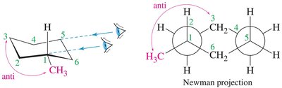 Various chair conformations of dimethylcyclohexane