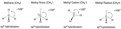 Comparison of hybridization and geometry in methane, methyl anion, methyl cation, and methyl radical