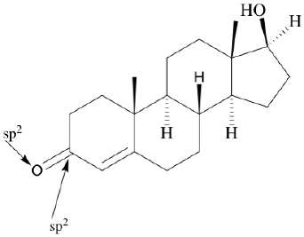 Steroid structure with functional groups