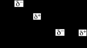 Dipole-dipole interaction in dichloromethane