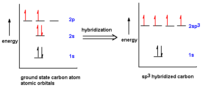 Energy diagram showing hybridization from ground state to sp3 hybridized carbon