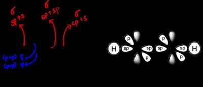 Bonding in sp hybridized molecules