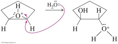 Water attack on protonated epoxide
