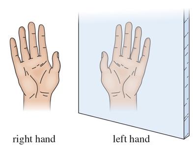 right and left hand mirror image