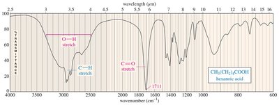 IR spectrum of carboxylic acids