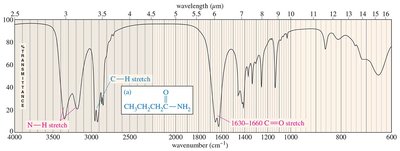 IR spectrum of amides