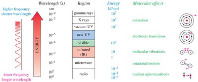 Electromagnetic spectrum and molecular effects