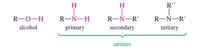 Alcohol and amine functional groups