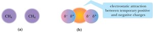 Dispersion forces between alkane molecules