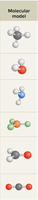 Molecular models for VSEPR geometries