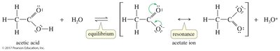 Resonance forms for acetate ion