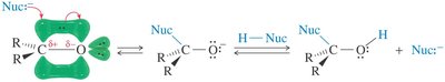 Mecanismo de adición nucleofílica al carbonilo