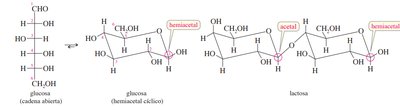 Formación de hemiacetales y acetales en carbohidratos