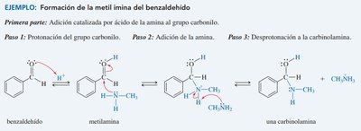 Mecanismo de formación de iminas