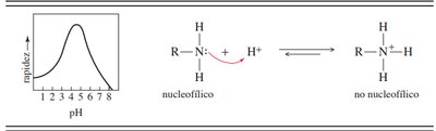 Efecto del pH en la nucleofilicidad de aminas