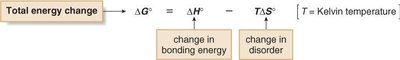Equation relating ΔG0, ΔH0, and ΔS0