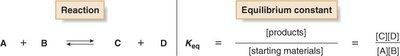 Equilibrium constant equation