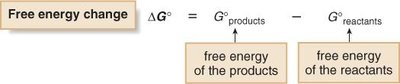 Free energy change equation