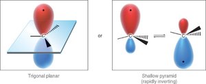 Radical geometry: trigonal planar and shallow pyramid