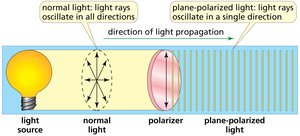 Plane-polarized light