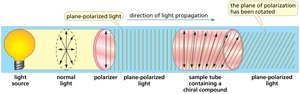 Optical activity of chiral compounds