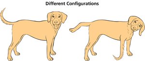 Stable vs. unstable conformations