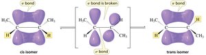 Cis-trans isomers in cyclic and double bond systems