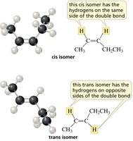 Cis and trans isomers of alkenes