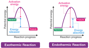Exothermic and endothermic reaction-energy diagrams