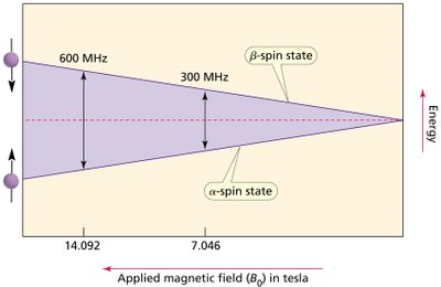 Energy difference between spin states and magnetic field strength