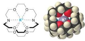 Structure of a cryptand complex with K+