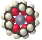 Space-filling model of a crown ether complex with K+