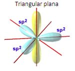 sp2 hybridization, trigonal planar