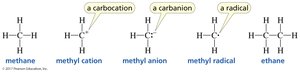 Bonding patterns for carbon, including cation, anion, radical