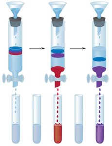 Ion-exchange chromatography separation process