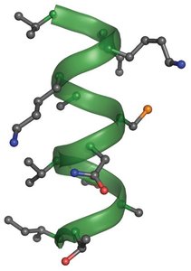 3D structure of an alpha helix