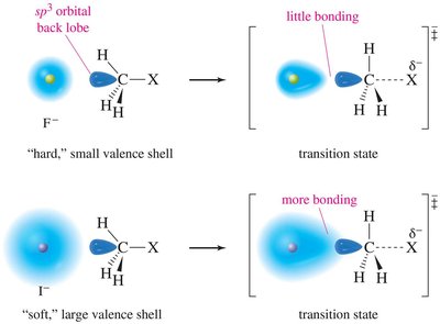 steric hindrance in nucleophiles