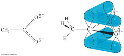 Resonance stabilization of the acetate ion