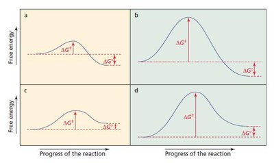 Free energy diagrams for four reactions