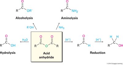 Acid anhydride reactions overview