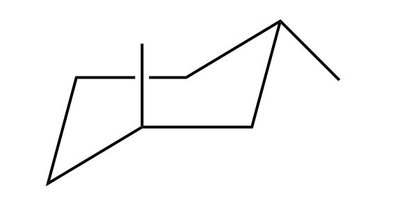 Newman projection for gauche n-butane