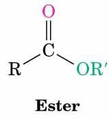 Structure of an ester functional group