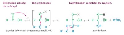 Mechanism: Acid-catalyzed addition of alcohol to carbonyl