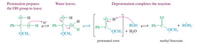 Mechanism: Acid-catalyzed dehydration and ester formation
