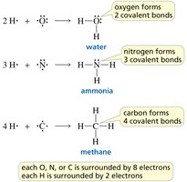Bond formation in water, ammonia, and methane